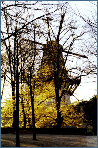 scanned from analog film